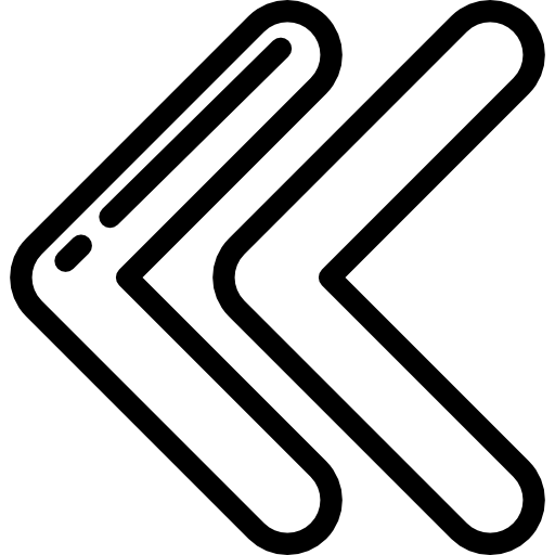 Icono del género